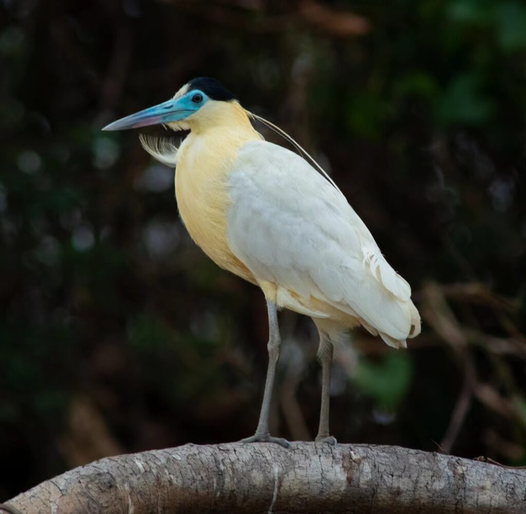 Home 20240928 181016