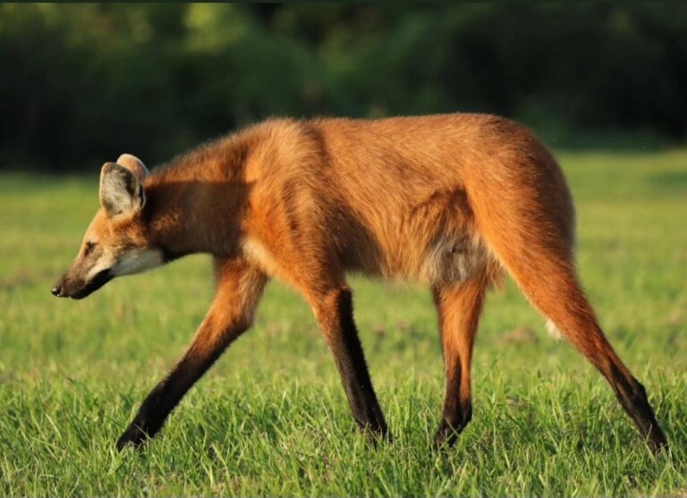 whatsapp image 2026 03 05 at 8.16.16 pm