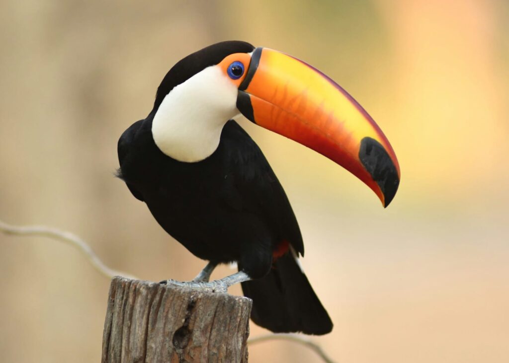 Home whatsapp image 2026 03 05 at 8.17.53 pm