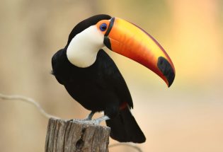 whatsapp image 2026 03 05 at 8.17.53 pm