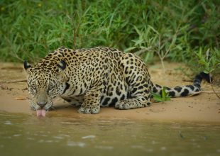 whatsapp image 2026 03 07 at 1.25.05 pm